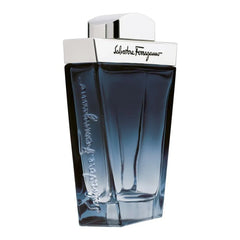 Perfume Ferragamo Subtil para Hombre de Salvatore Ferragamo EDT 100ML