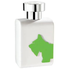 Ferrioni Fluo Green for Men by Ferrioni Eau de Toilette 100 ML