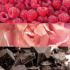 Perfume Euphoria Blush para Mujer de Calvin Klein EDP 100ML