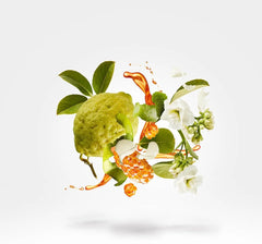 Perfume XJ 1861 Naxos Unisex de Xerjoff EDP 100ML